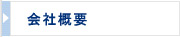 ЊTv